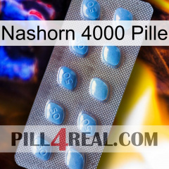 Rhino 4000 Pill viagra3
